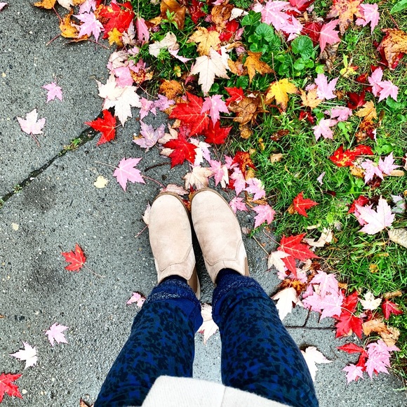 Meet your Posher, Lana - Picture 4 of 10